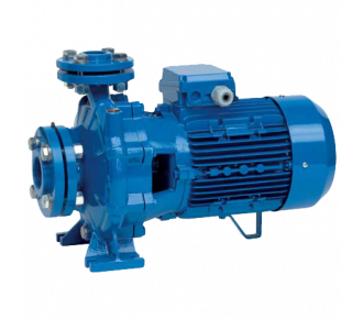 Насос поверхностный Speroni CS 32-160 C(101800260)