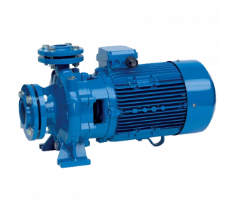 Насос поверхностный Speroni CS 50-250 C(101802460)