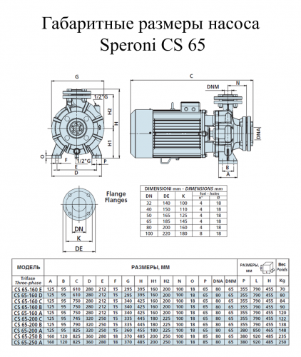 Насос поверхностный Speroni CS 65-160 D(101803280) - фото 2