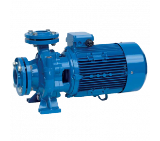 Насос поверхностный Speroni CS 65-160 B(101803410)