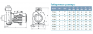 Насос поверхностный Aquatica ACm300B4 (775287) - фото 4