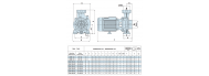 Насос поверхностный Speroni CB 303/A(101102130) - фото 2
