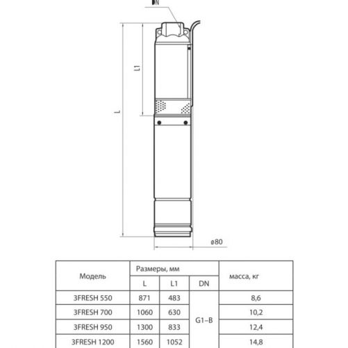 Насос свердловинний Rudes 3FRESH 950 муфта - фото 2