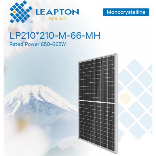 Солнечная панель Leapton LP210*210-M-66-MH 650 - фото 2