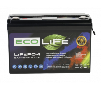 Аккумуляторная батарея EcoLiFe 12-110