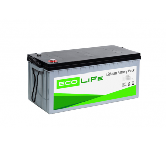 Аккумуляторная батарея EcoLiFe 24-100