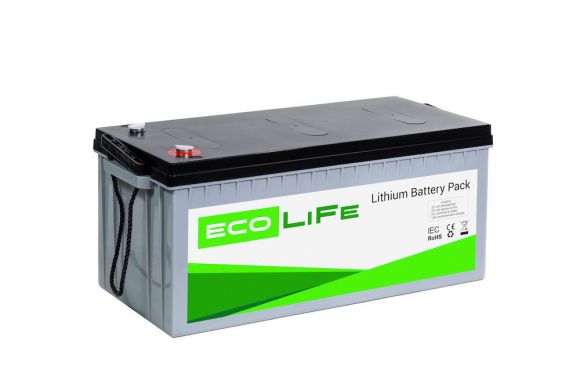 Аккумуляторная батарея EcoLiFe 24-135 - фото 1