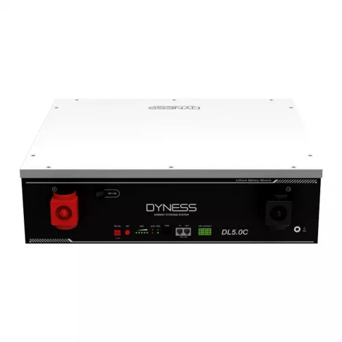 Аккумуляторная батарея Dyness DL5.0C Heating (5,12 кВт*ч/ 48В) - фото 1