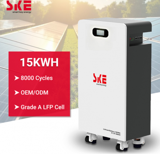 Аккумуляторная батарея SKE SK-ST15000 - фото 2